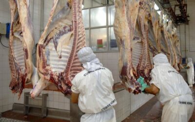 En abril subieron los volúmenes exportados de carne bovina