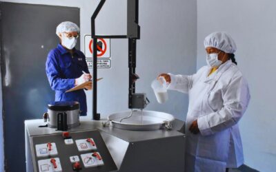 Desarrollan una tina solar para la producción de quesos artesanales