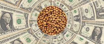 Por la incertidumbre política y climática, los productores no quieren vender granos