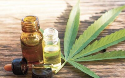 ¿Por qué debemos abordar el tema Cannabis ya?