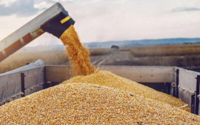 Precios de commodities en baja y clima inestable deterioran el escenario del campo