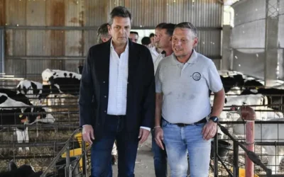 Inédito en ganadería: alertan que Massa quiere sumar un impuesto a los vientres