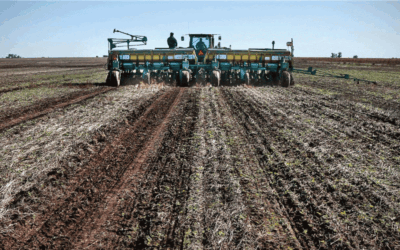 A pesar de la sequía, el agro mantuvo un alto cumplimiento de sus obligaciones financieras