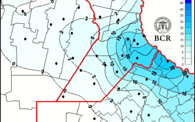 «Hay mucho entusiasmo»: cómo están los suelos tras una nueva semana de lluvias