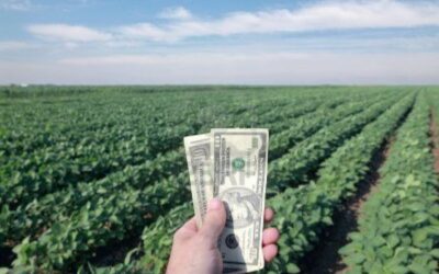 Mejora el clima sudamericano, los precios de los granos siguen en niveles interesantes.