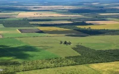 Panorama Agrícola Semanal