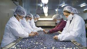 La AFIP oficializó una medida de alivio fiscal para las pymes