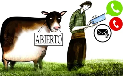 Verano 2024, la ganadería no se toma vacaciones