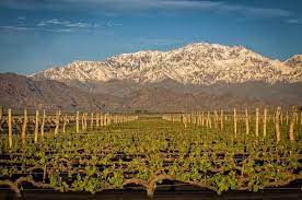 Diseñan un protocolo de agricultura regenerativa, único en Latinoamérica