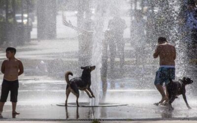 Rige una alerta roja, naranja y amarilla por calor extremo: cómo hay que cuidarse