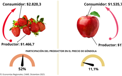 Del productor al consumidor, los precios de los agroalimentos se multiplicaron por 3,5 veces en diciembre