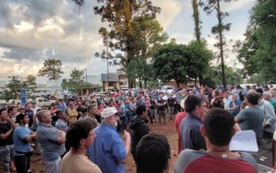 Productores yerbateros del norte de Misiones dejaron de cosechar y reclaman un ajuste del precio