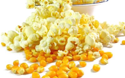 «De los Mayas a Hollywood:  La historia milenaria del Pochoclo»