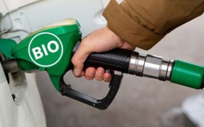Biodiésel: Primeras señales para desregular el mercado nacional