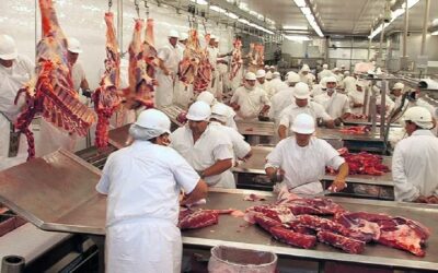 Consorcio de Exportadores de Carnes Argentinas (ABC)
