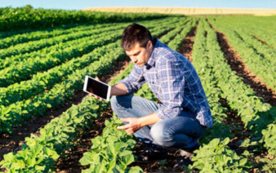 El pulso del empleo entre la estabilidad económica y los retos sectoriales