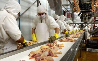 Sector avícola: la Federación de la Carne logró un nuevo acuerdo salarial y acumula más del 235% en 10 meses