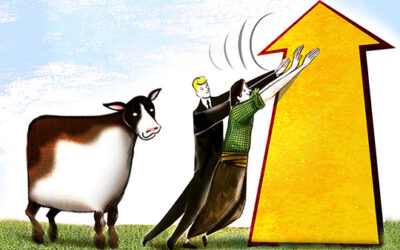 Los datos de enero confirman proyecciones a favor del sector ganadero