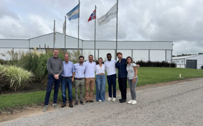 Una empresa argentina se convertirá en pionera mundial al producir papas con huella de carbono certificada