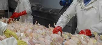 Argentina logró la reapertura del mercado de productos avícolas al Reino Unido