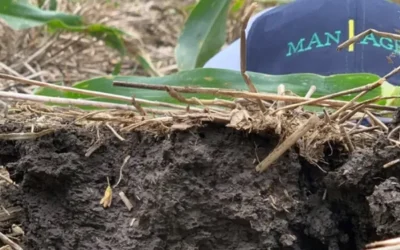 La «gran preocupación» de la empresa agrícola que siembra 60 mil hectáreas por año: por qué se volvió complejo el negocio