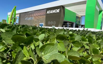 Lanzan un concurso para incentivar la devolución de envases vacíos de fitosanitarios