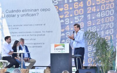 El campo se vislumbra como el protagonista del crecimiento económico en 2024