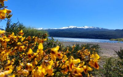 Cinco propuestas de turismo rural para descubrir y valorar la naturaleza
