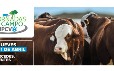 Jornada a campo del IPCVA en Corrientes: Carne del NEA al mundo