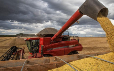 Corto, mediano y largo plazo. Tres desafíos, tres conclusiones