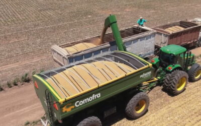 Las máquinas perdieron contra la inflación, el dólar y los granos