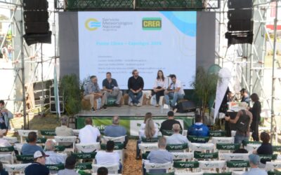 Nuevo dolor de cabeza para los productores: La Niña volvería en la primavera