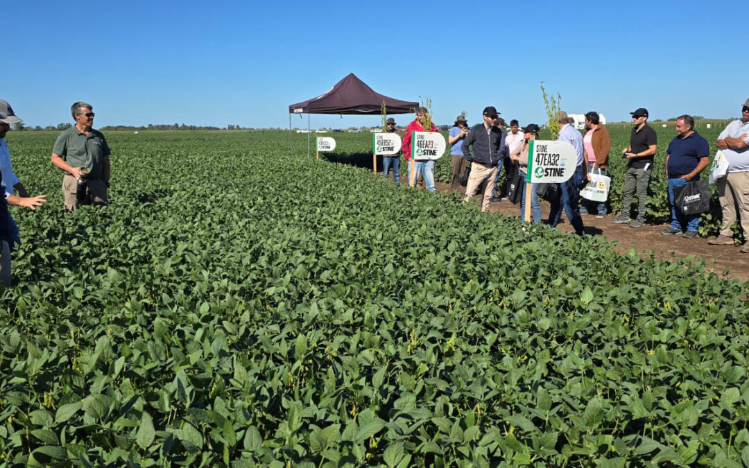 Indecar inauguró el «PT Farm», un campo modelo, con una demostración ante productores
