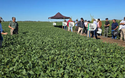 Indecar inauguró el «PT Farm», un campo modelo, con una demostración ante productores