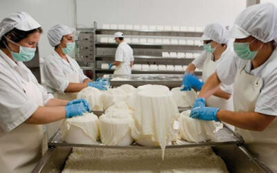 Retenciones: prorrogan por un año la suspensión de los derechos de exportación a la industria láctea