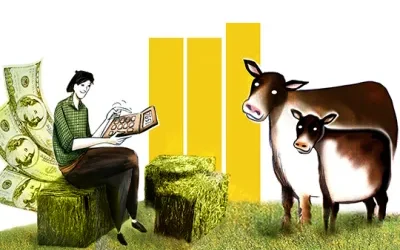 ¿Conviene invertir en intensificar la cría o la recría?