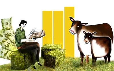 ¿Conviene invertir en intensificar la cría o la recría?