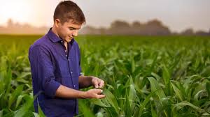 El agro necesita cada vez más diversidad de perfiles, aunque todavía tiene baja presencia como potencial empleador entre los jóvenes