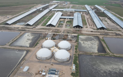 Nuevo biodigestor para producción de energía eléctrica