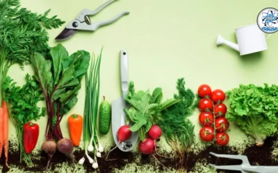 Curso “Formación de implementadores de la normativa orgánica argentina aplicado a la cadena hortícola y producción de semillas»