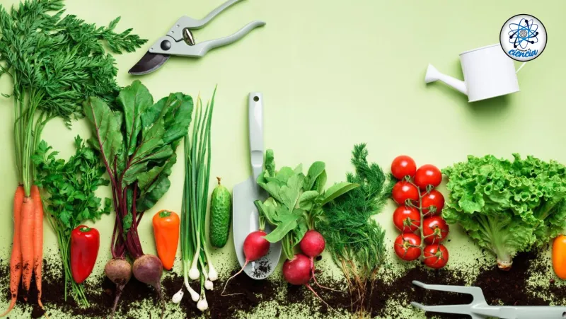 Curso “Formación de implementadores de la normativa orgánica argentina aplicado a la cadena hortícola y producción de semillas»