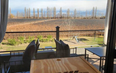 DHL Express lanza un servicio de exportación de vinos desde las bodegas