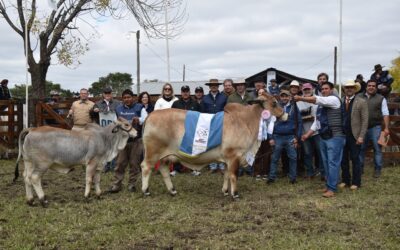 La Raza Madre premió a los mejores reproductores