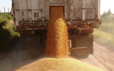 El paro de la CGT pega donde más duele: no ingresan divisas del campo