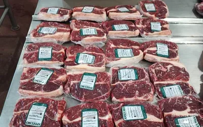 Cómo lograr marmoleo y ser reconocido al mostrador