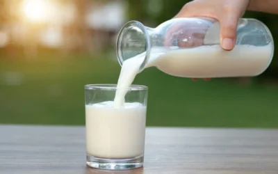 Repunta la lechería argentina: la producción creció 10,9% en el primer trimestre de 2025