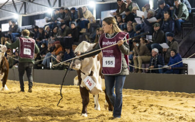 En su 40° aniversario, Braford ratificó su gran presente en Las Nacionales