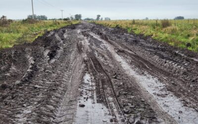 El arroz comienza a pudrirse en los campos, con los caminos rurales destrozados y sin máquinas para repararlos, alertaron los productores entrerrianos