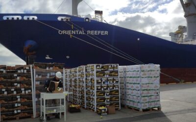 Certificación de la primera exportación de fruta fresca de la temporada con destino a Rusia