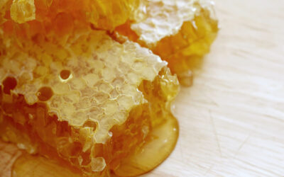 Las exportaciones apícolas alcanzaron el mayor volumen de los últimos 7 años